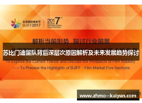 苏比门迪留队背后深层次原因解析及未来发展趋势探讨