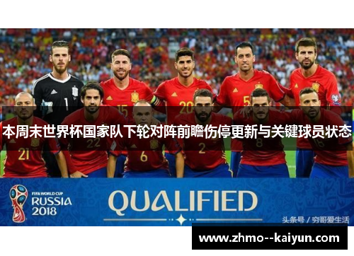 本周末世界杯国家队下轮对阵前瞻伤停更新与关键球员状态 本周末世界杯国家队下轮对阵前瞻伤停更新与关键球员状态