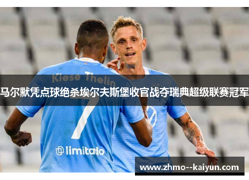 马尔默凭点球绝杀埃尔夫斯堡收官战夺瑞典超级联赛冠军